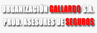 GALLARDO SEGUROS